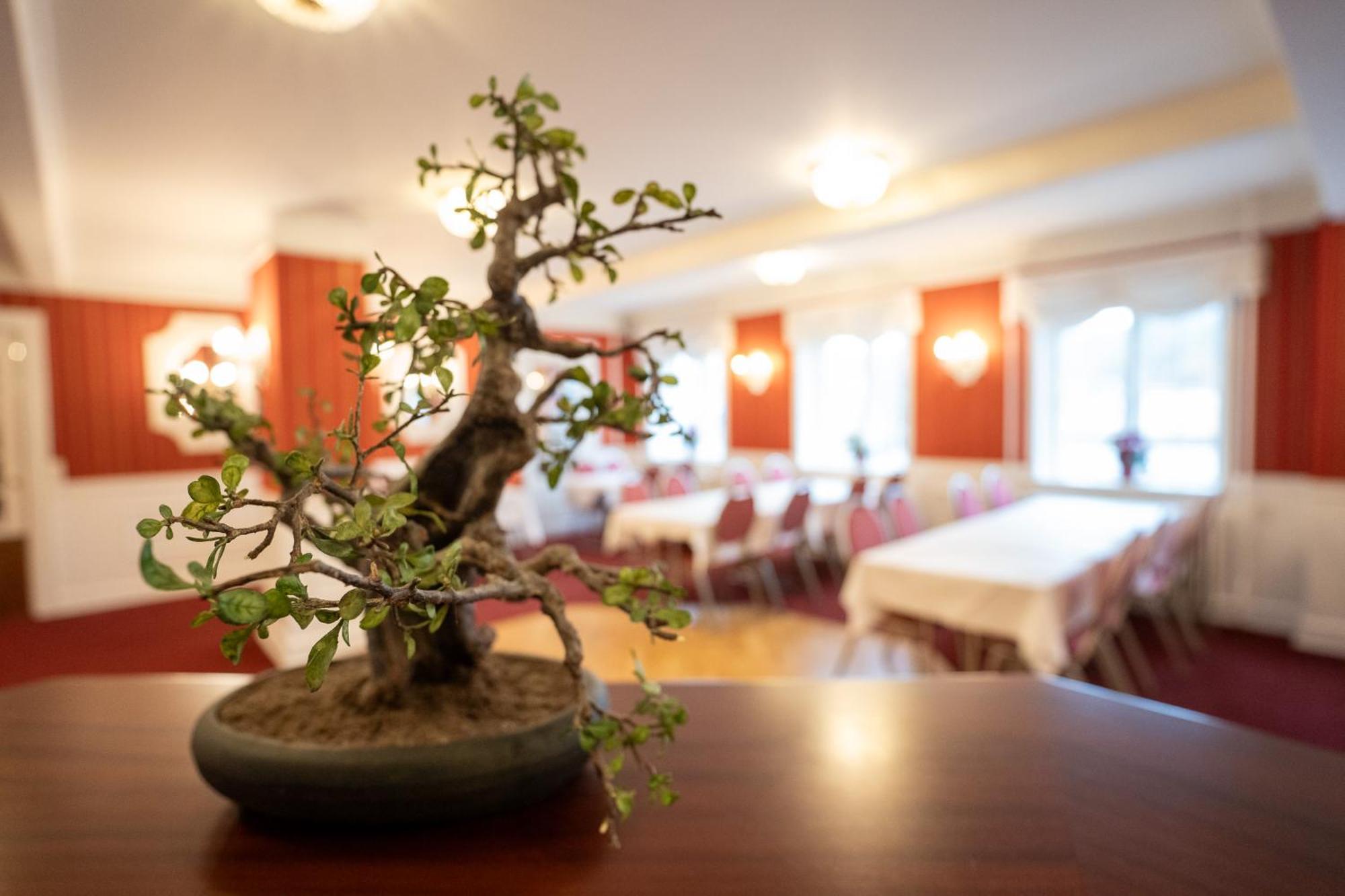 Frederiksvaerk Hotel Extérieur photo